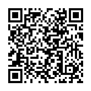 饶有兴致的等候在通道出口等着他们浑水摸鱼出来二维码生成