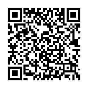 首先我要确定究竟是你的问题还是你伴侣的问题二维码生成