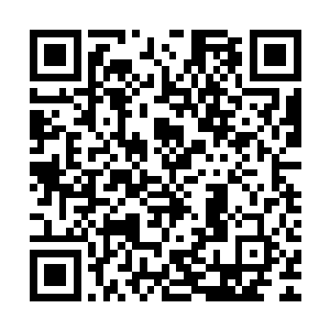首先贝海琢磨着是不是浓度降低了之后这演化的速度就能降下来二维码生成