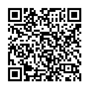首先龙傲天现在的灵魂境界可是已经达到了神尊级别二维码生成
