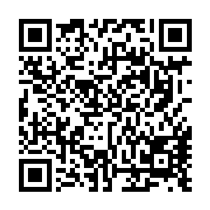 马丁一斯科西斯和弗朗西斯一福特一科波拉都是意大利后裔二维码生成