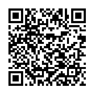 马上就要和九目凶蟾汇合的多眼龙鲶看到伙伴给干掉二维码生成