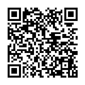 马上看出吕飞等人的行动很可能就是陈天彪安排的二维码生成