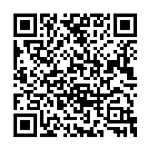 马克－福利尼奥同样被突然飞来的幸运大饼砸晕二维码生成