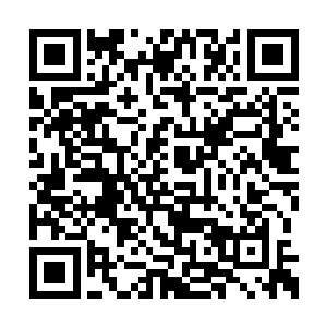 马塞尔・莱夫转而批评其马加特和他的教练组了二维码生成