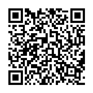 马文仅仅见过他的截图――主要是伊布实在太神出鬼没了二维码生成