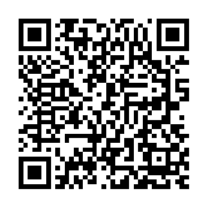 马文升是能看出皇帝此次对朝堂肯定会要借机有一次大调整的二维码生成