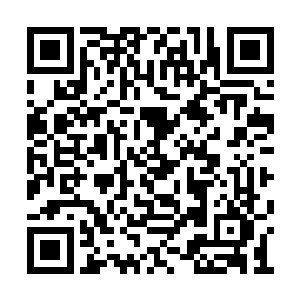 马文在古代侏儒的遗迹里没少和这玩意儿打交道二维码生成