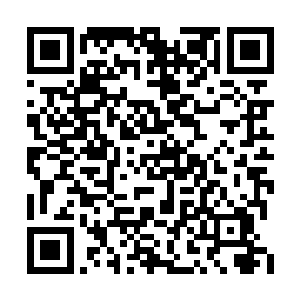 马文并没有将两头黑龙都收为自己的仆人的想法二维码生成