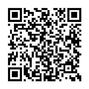 马文意味深长地打量着地上那个装死的巫师学徒二维码生成