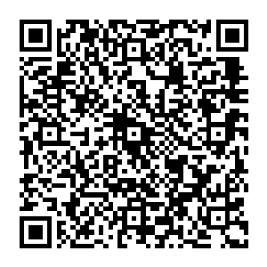 马文才意识到罗瑞擅自决定将自己的那一份黄金血作为任务的报酬奖励给马文对她而言是多么大的牺牲二维码生成