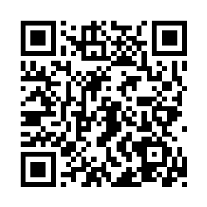 马文查看了一下许久没有精力查看的数据面板二维码生成