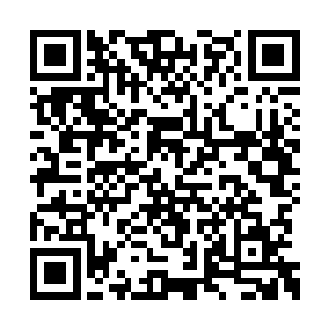 马文毫不犹豫地将足够的经验分配到了夜行人上二维码生成