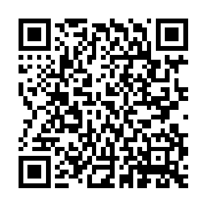 马文的确不会杀掉依扎卡一条黑龙对于马文来说还是很大的助力二维码生成