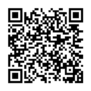 马文的脑海里渐渐浮现出关于魔形术士的一些了解二维码生成