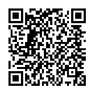 马文直接无视了第一行充满蔑视嘲讽幸灾乐祸等情绪的嘲笑二维码生成