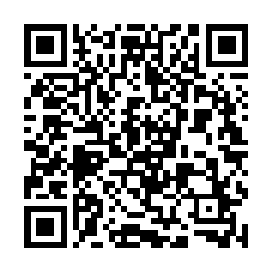 马文终于明白先祖之谜为什么会有如此奇特的反应了二维码生成