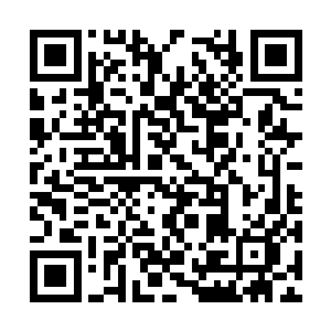 马文超强的神经反应速度在战斗中是非常占便宜的二维码生成