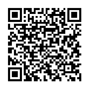 马文足以将宝石湾购买到的粮食输送到白河谷地里二维码生成