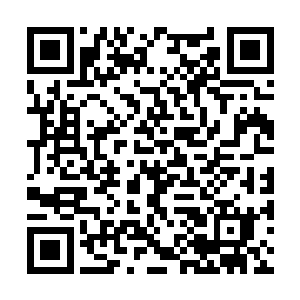 马文还是一股脑地把所有的技能点都丢在了潜行上二维码生成