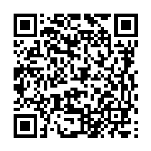 马文都不确定身为木精灵王族的伊布是否掌握了龙语二维码生成