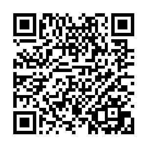 马文默然无语地看着那个狼狈挣扎着爬起来的人影二维码生成