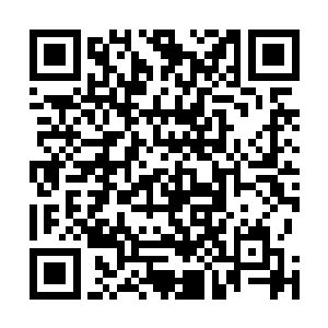马格鹿有阿婵他们跟着的架势很像恶少身边的狗腿子丫鬟二维码生成