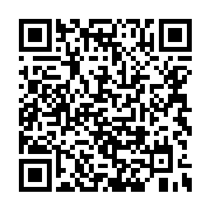 马特拉齐刚刚准备冲上去将荣光人留下来的时候二维码生成