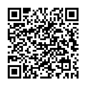 马特拉齐清楚都从荣光的眼神中看出了……奚落和不屑二维码生成