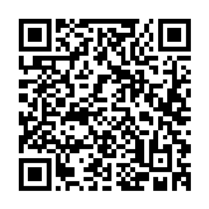 马特顺口就来了一小段儿忆苦思甜然后数落了两句自己的儿子二维码生成
