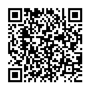 马纵横还是有生以来见过能够如此了解自己才能和脾性的人才二维码生成