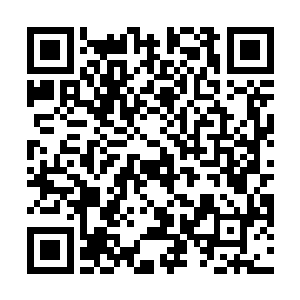 马车里的高级神官懒洋洋的声音顿时将王子的怒吼覆盖二维码生成