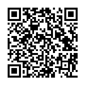 马里奥的举动看得斯科拉和他两位保镖个个都是四肢冰凉二维码生成