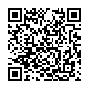 马里奥的护卫们肯定是要留下保护他而不敢追击的二维码生成