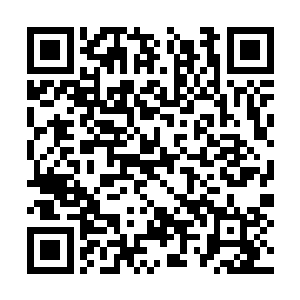 马长老他们和九天圣宫的人应该都被关押在监牢里二维码生成