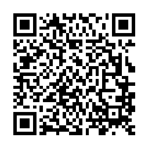 马龙一白兰度这些三十多岁就能够拿奖的帅哥已经不再受到待见二维码生成