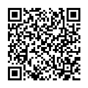 驮着劳伦的小虎鲸就直接把劳伦送到了箭号的船旁二维码生成