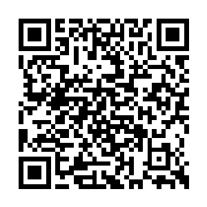 驱使那些反应慢了一拍的啸风狼向雷天发起攻击二维码生成