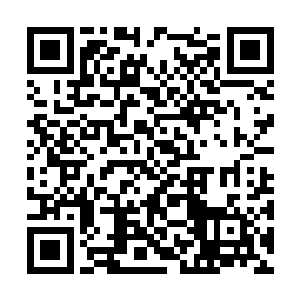 驱神大圣禺狨王因缘际会得到了上古一尊金甲巨神二维码生成