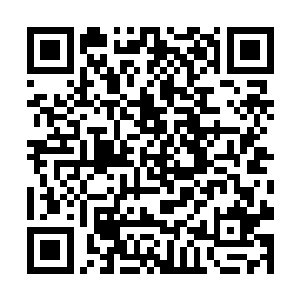 驻守在布拉佩的一个师团的士兵今天全部走上街头了二维码生成