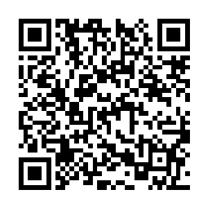 驻守在黄龙界的各支舰队都以最快速度完成了战备二维码生成