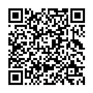 驻守大衍的近百万墨族大军怕是很快也要有动作了二维码生成