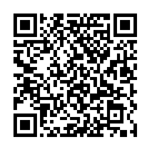 驾驶座位置上突然传来一个伊莎贝拉十分耳熟的声音二维码生成