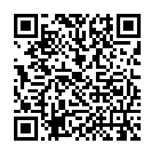 骆桓就派人花费巨资买了配七翅乳鸽喝的七彩香槟酒二维码生成