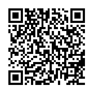 骤然幻化成一有着九条血盆大嘴和九条蛟龙尾的魔暗吞天龙蟒二维码生成