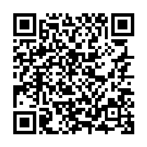 骨子里全是由浓缩的天地紫气凝结而成……在修炼的时候吸纳之二维码生成