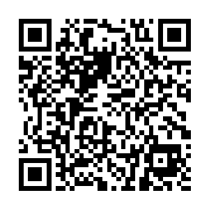 骨子里的战意随着沐随风声音的出现而突然熊熊燃烧起来二维码生成