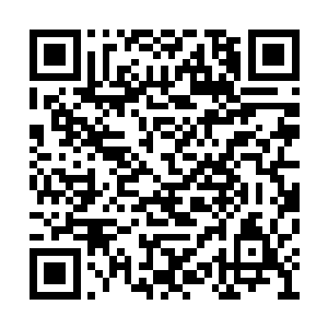 骨骼强度不够强行驾驶机甲会造成身体萎缩变形二维码生成