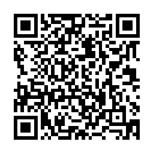 骷髅一族通过吸取包括同类在内的其它幽冥生物灵魂二维码生成