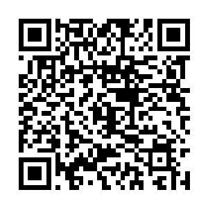 骸骨龙魔极有可能是混沌调制出来的终极兵器之一二维码生成